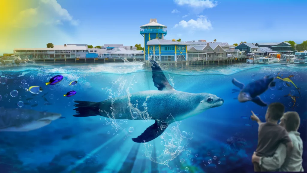 slsc-divebelow-desktop-1920x1080-clean SEA LIFE Sunshine Coast