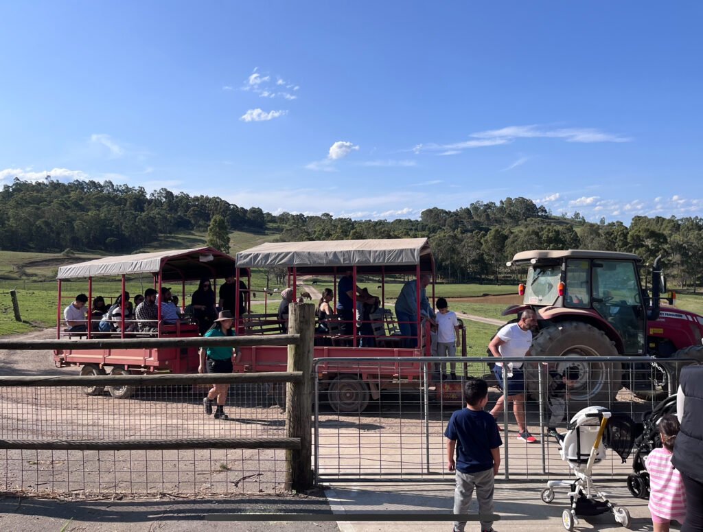 boarding the animal tractor ride