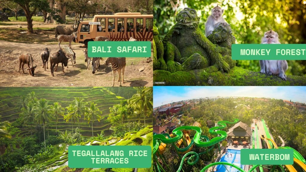 Planning a Bali Holiday with a Toddler in 2025: Everything You Need to Know Before You Go 8 Top things to do in bali