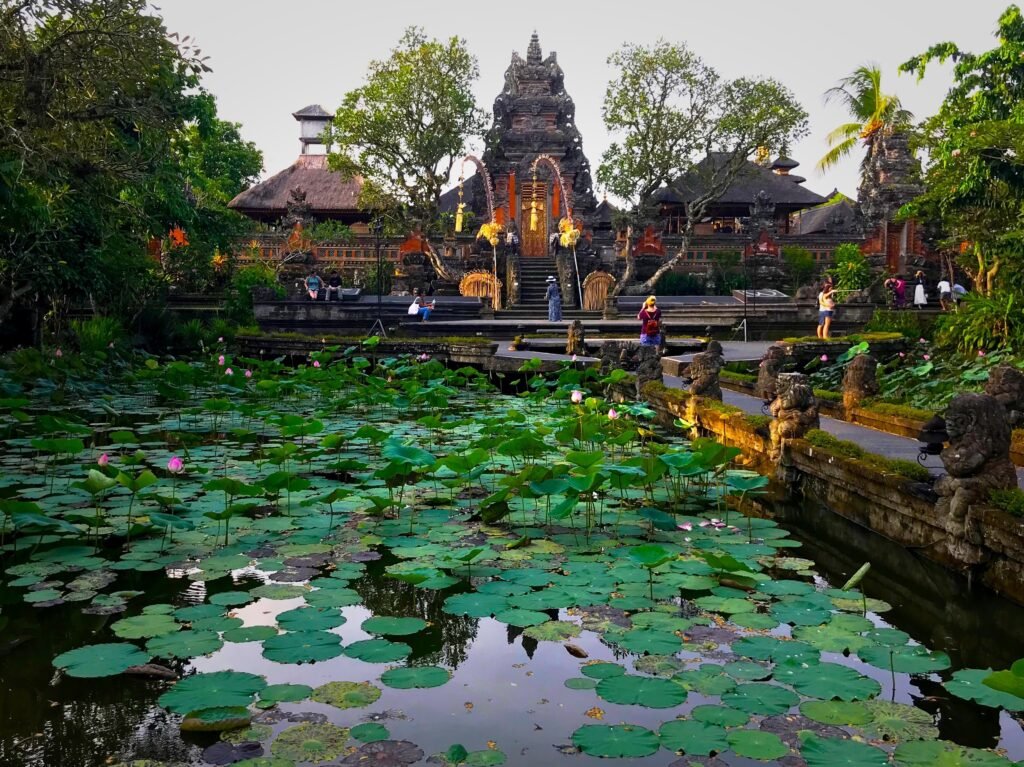 Lotus Pond at Saraswati Temple Lotus Pond at Saraswati Temple