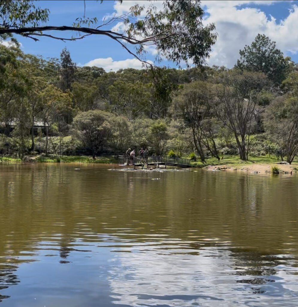 Australian Reptile Park Review 2025 Australian Reptile Park Review 2025