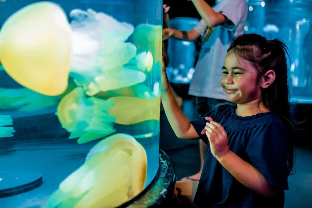 SEA LIFE Sydney Aquarium Review 