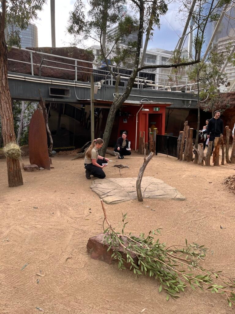 Wild Life Sydney Zoo Review - Feeding Birds