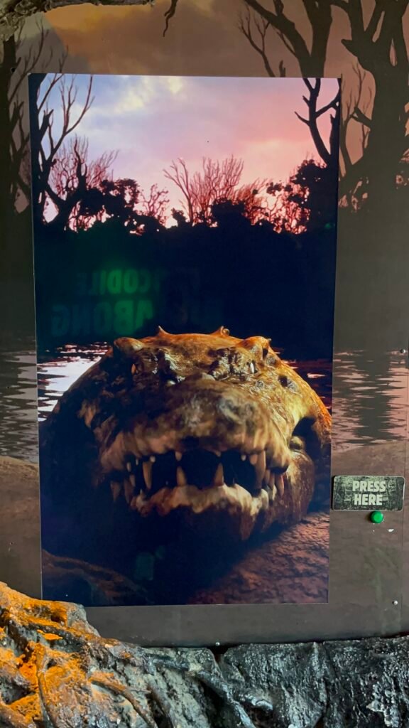 Wild Life Sydney Zoo - Crocodile Interactive Display