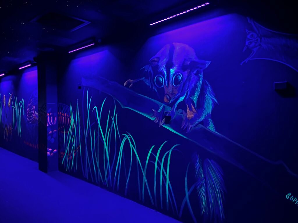 Wild Life Sydney Zoo Review - Noctural Area