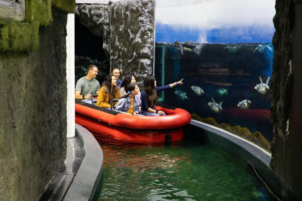 Penguin Expedition Boat Ride